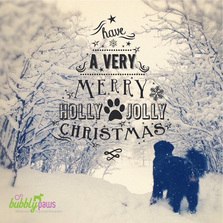 Happy Holidays from Bubbly Paws