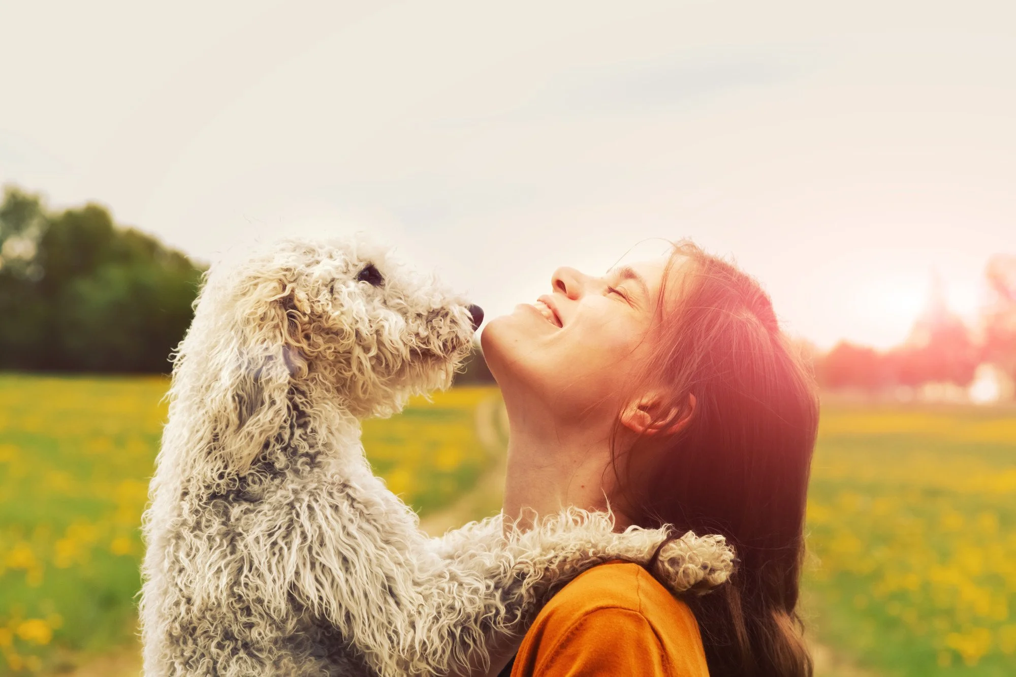How to Be a Good Dog Owner: 6 Basic Tips