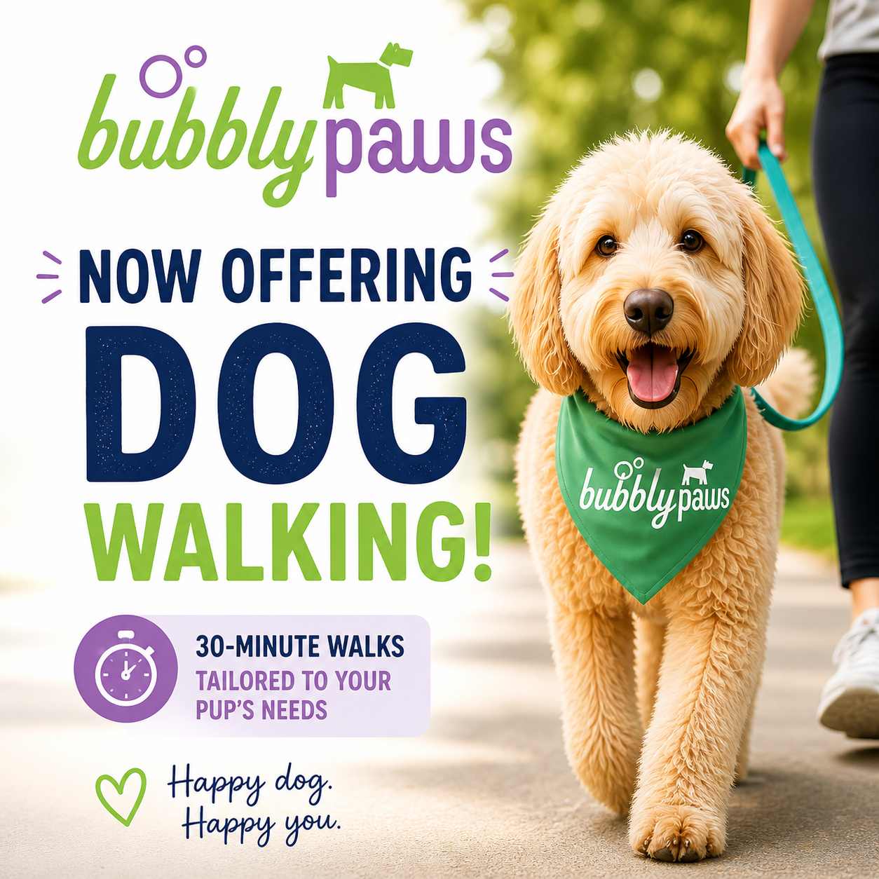 Edina and St Louis Park Dog Walking
