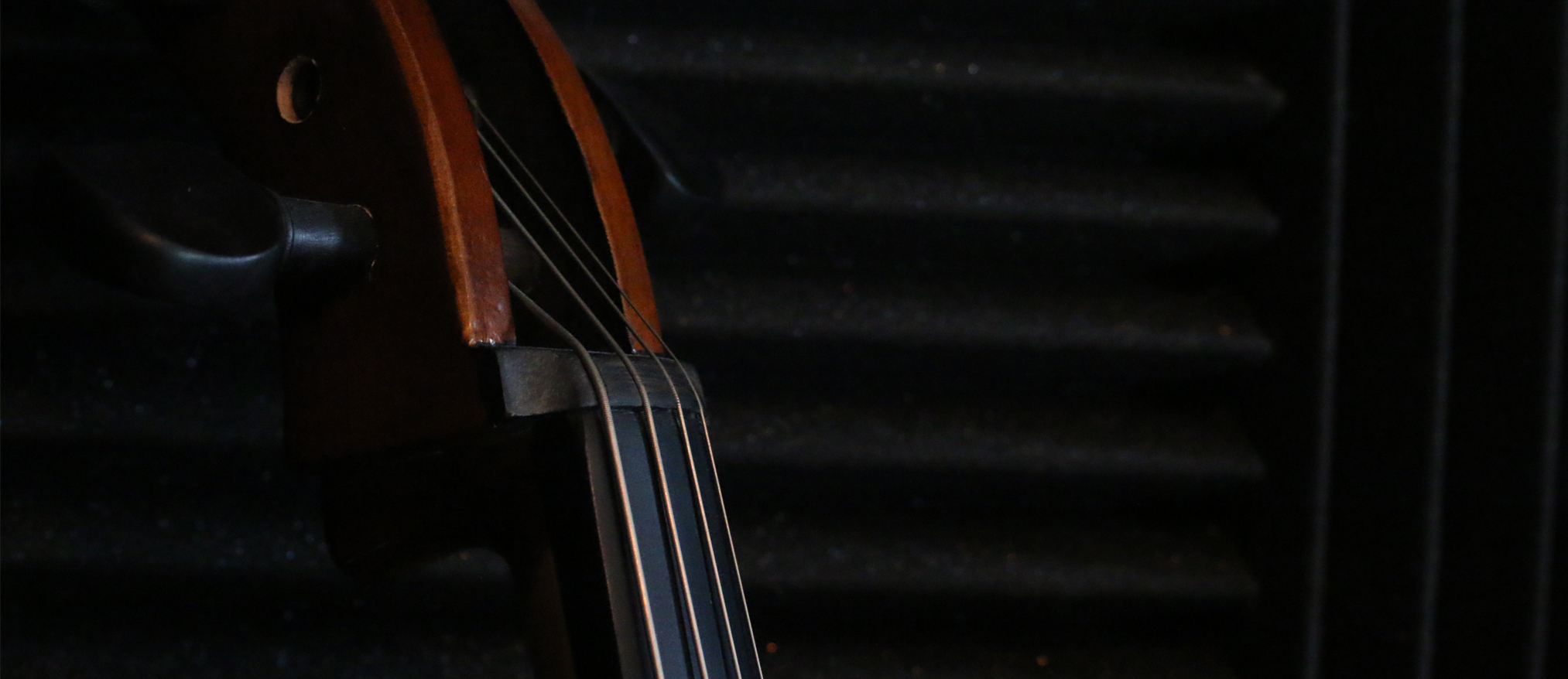 Tane Slide 10.jpg