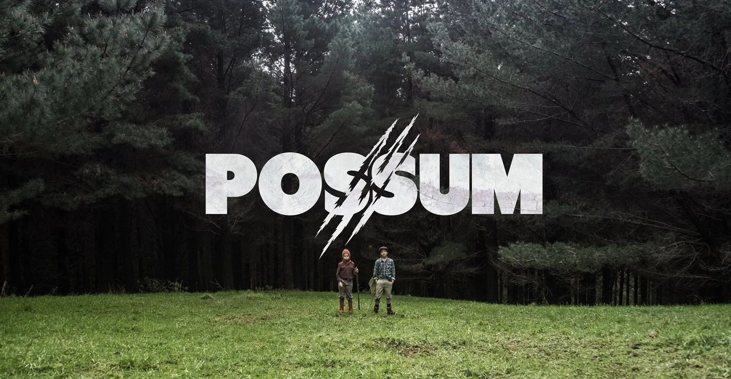 Possum.jpg