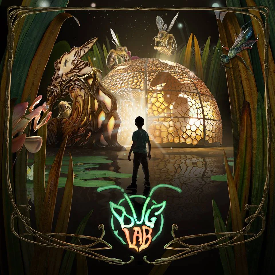 Bug Lab detailed.jpg