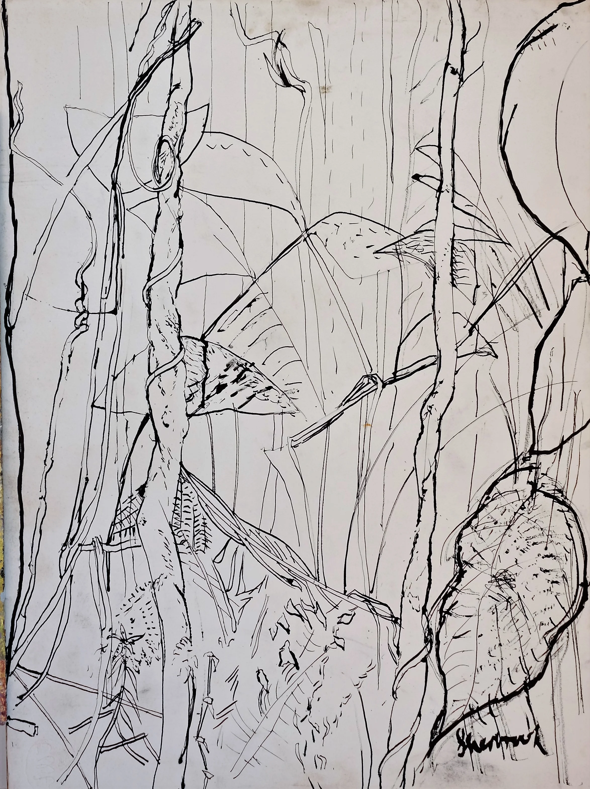  Sherbrooke 11 1984&nbsp; 76cmx56cm &nbsp;Pen and Ink on Paper 