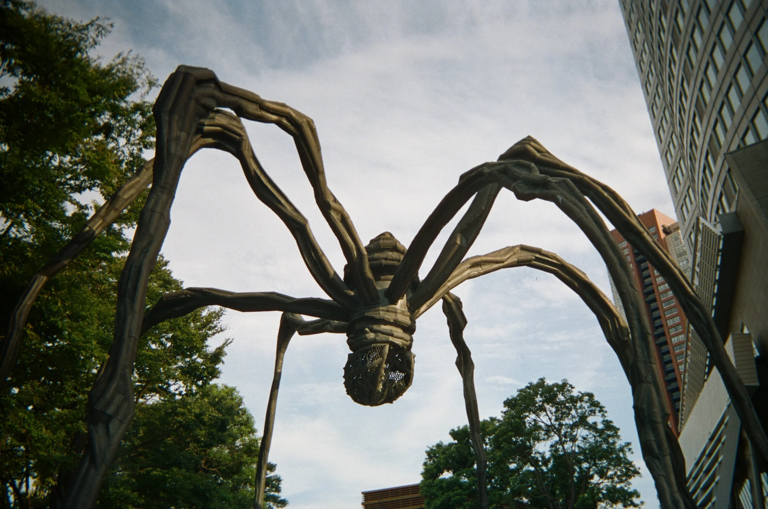 Disposable Camera Series II