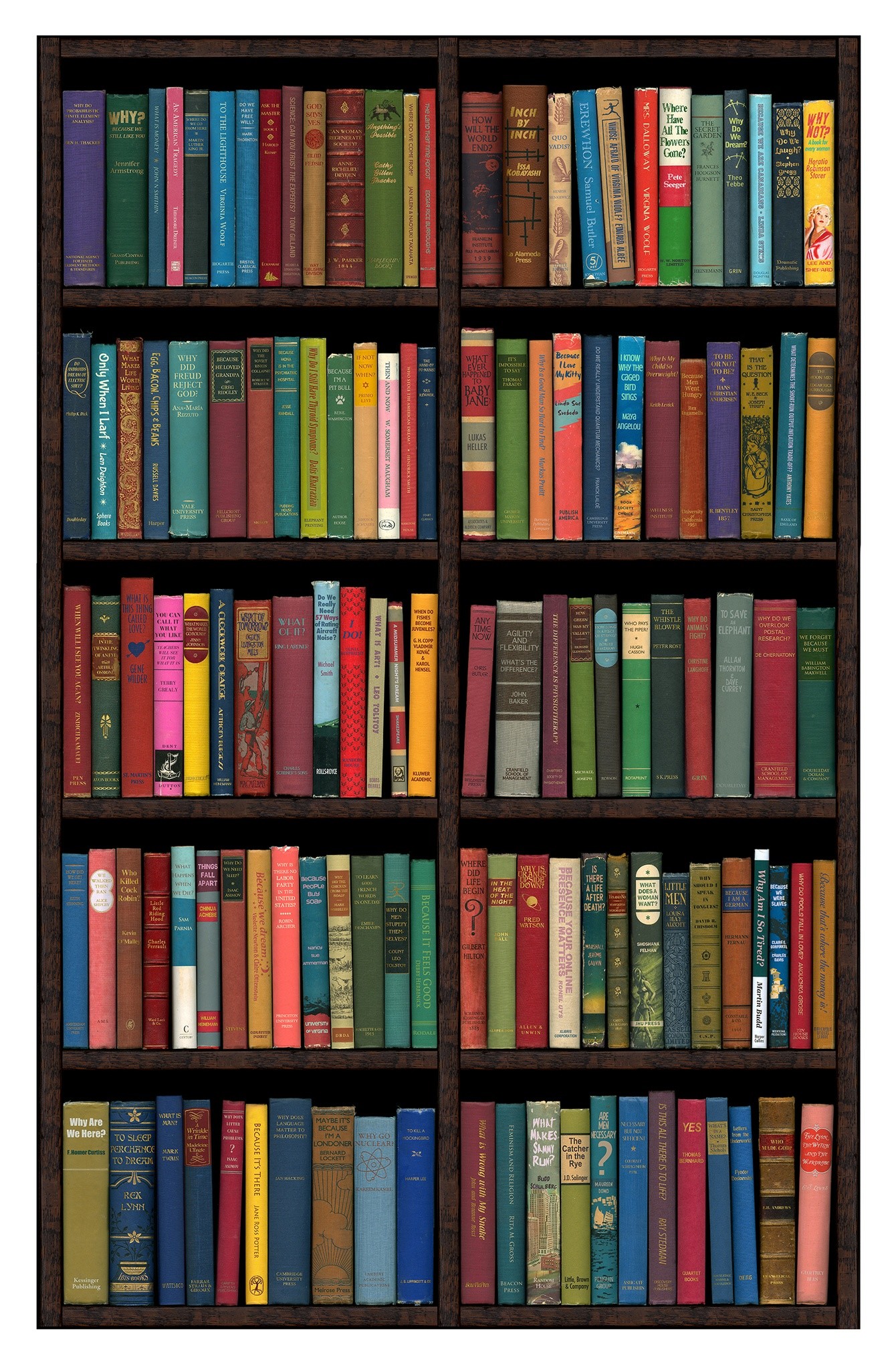 Frequently Asked Questions (2015) by Phil Shaw from Rebecca Hossack Art Gallery.