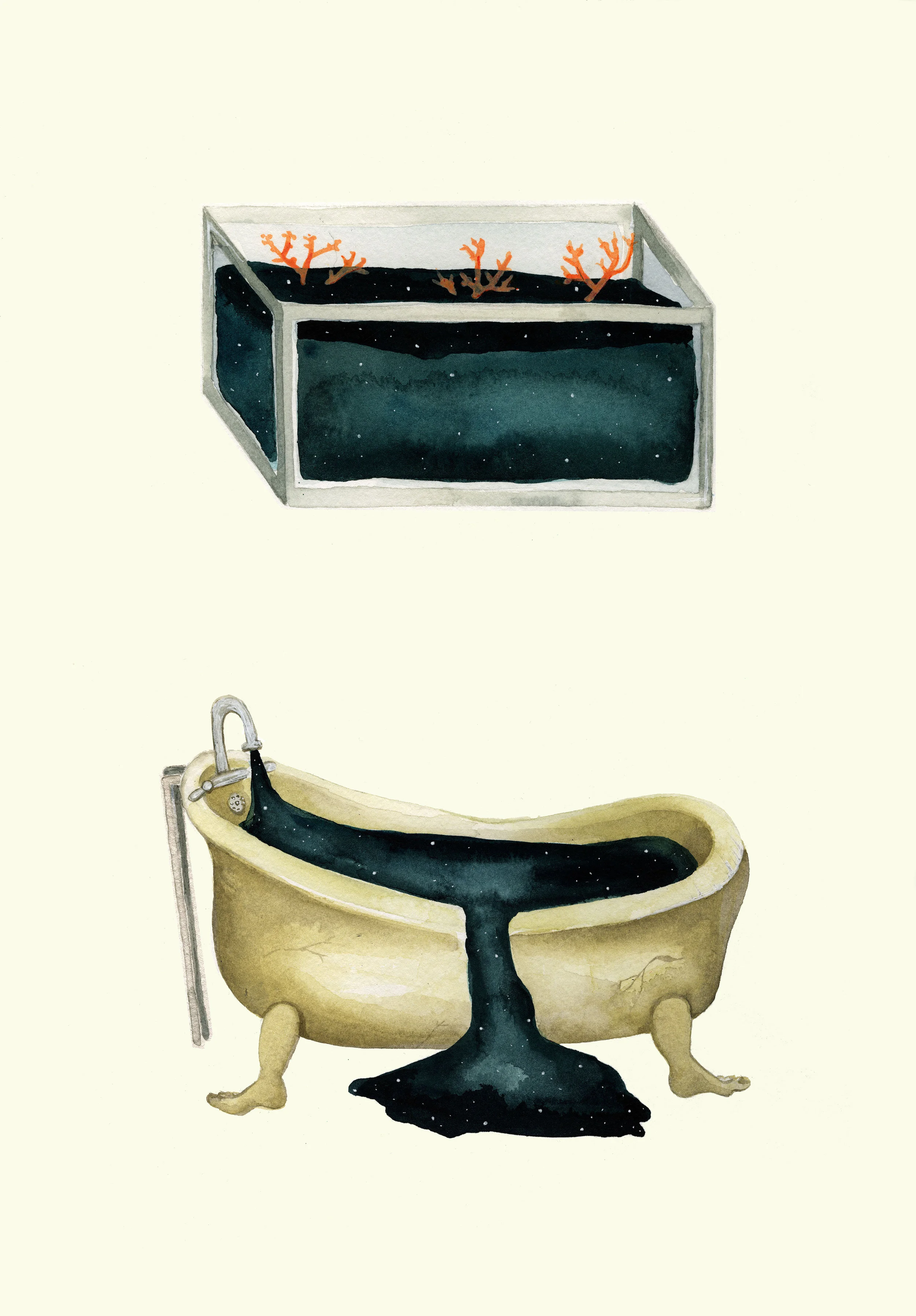 Illustration: “Tub & Tank” by Eva Dominelli