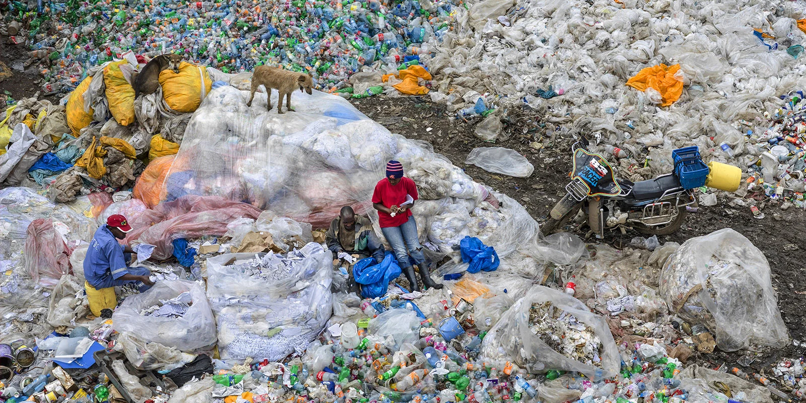 ANTHROPOCENE film still via Vancouver International Film Festival