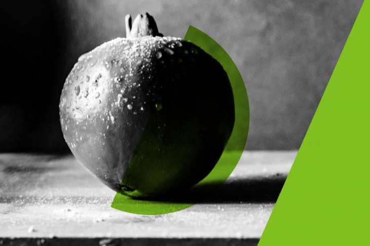 Experience Essential Cinema: The Cinematheque’s 24 Hour Movie Marathon