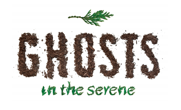 10 Years of Tears: Ghosts in the Serene: Tree Poaching and Life in the Greenest City