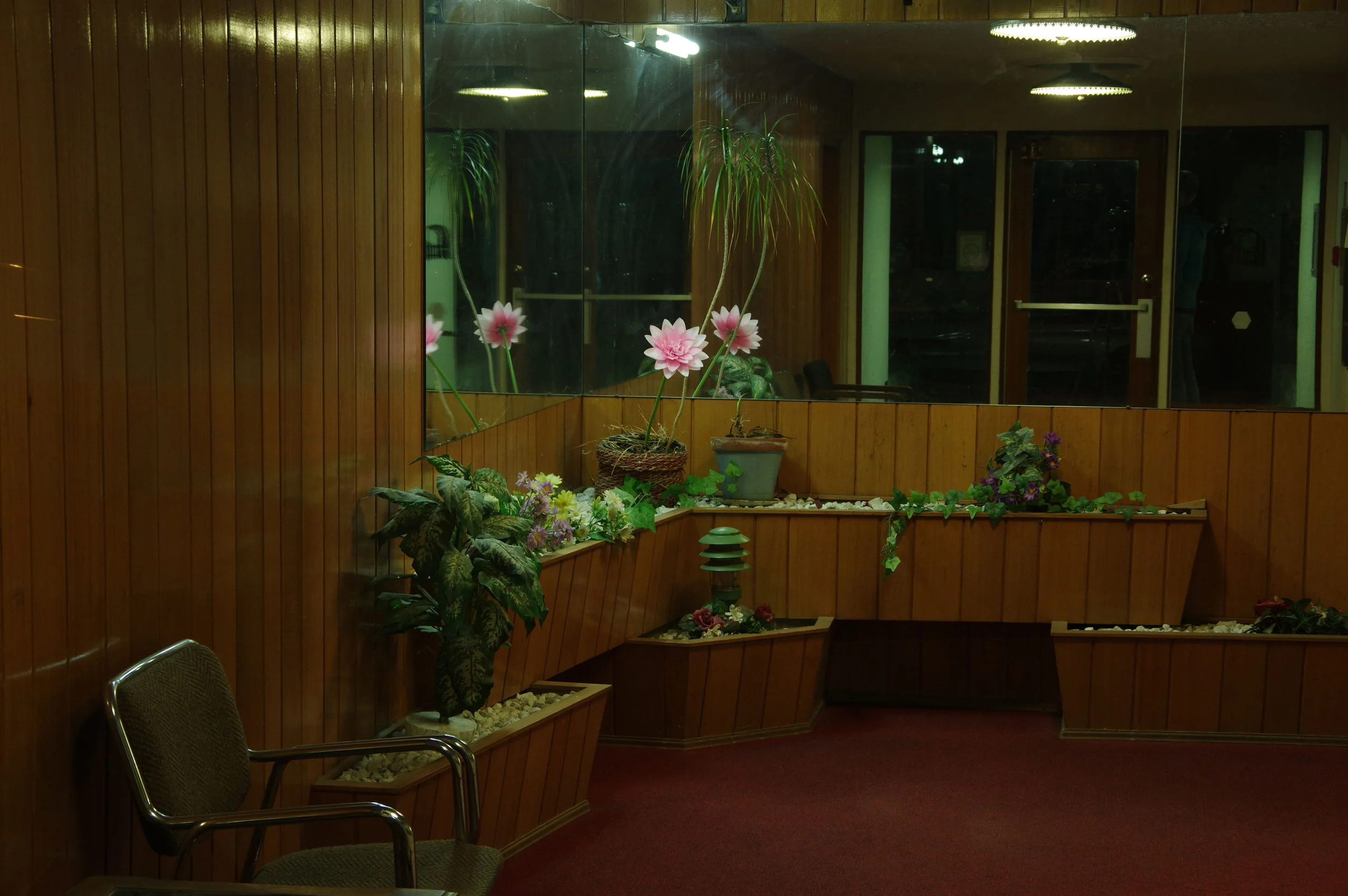 Lobby Flower, 2018. Digital long exposure.