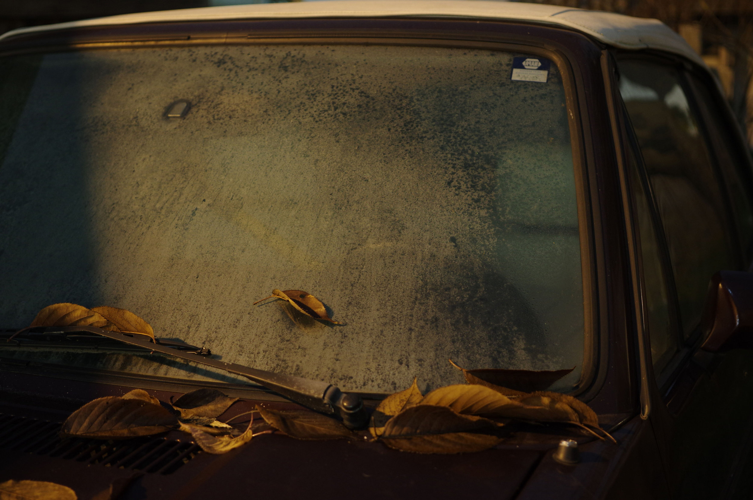 Leaves on a Windshield, 2018. Technique: Digital long exposure.