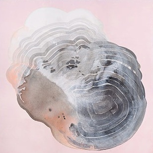 Visual Inspection - Matt Rader