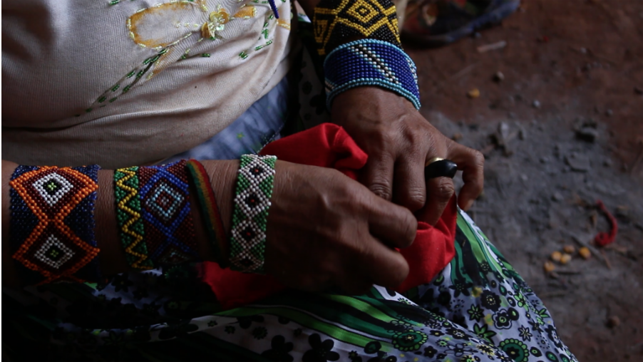 VLAFF’s Commitment to Accountability: Curating for Diverse Audiences