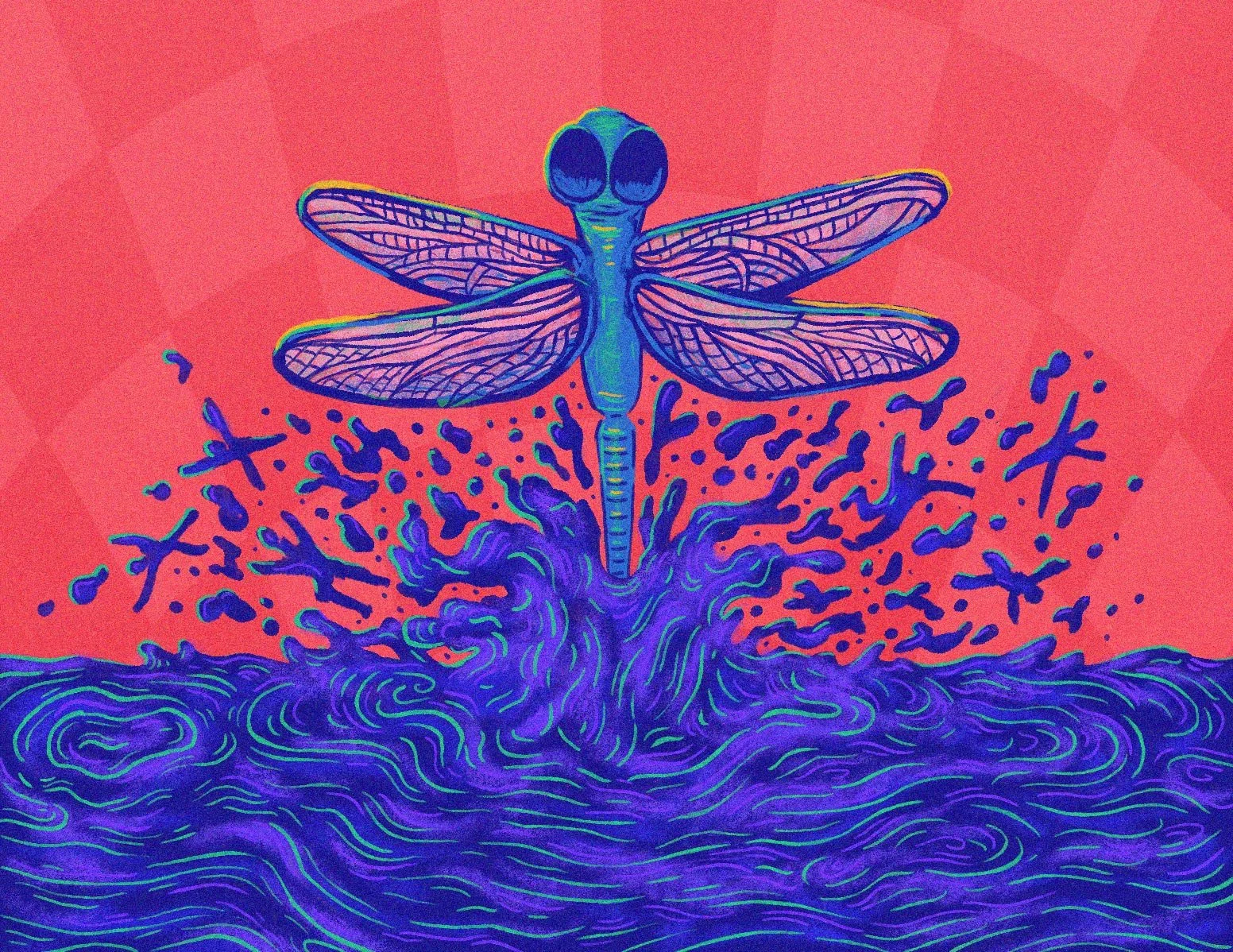 dragonfly illustration by Monica Diaz