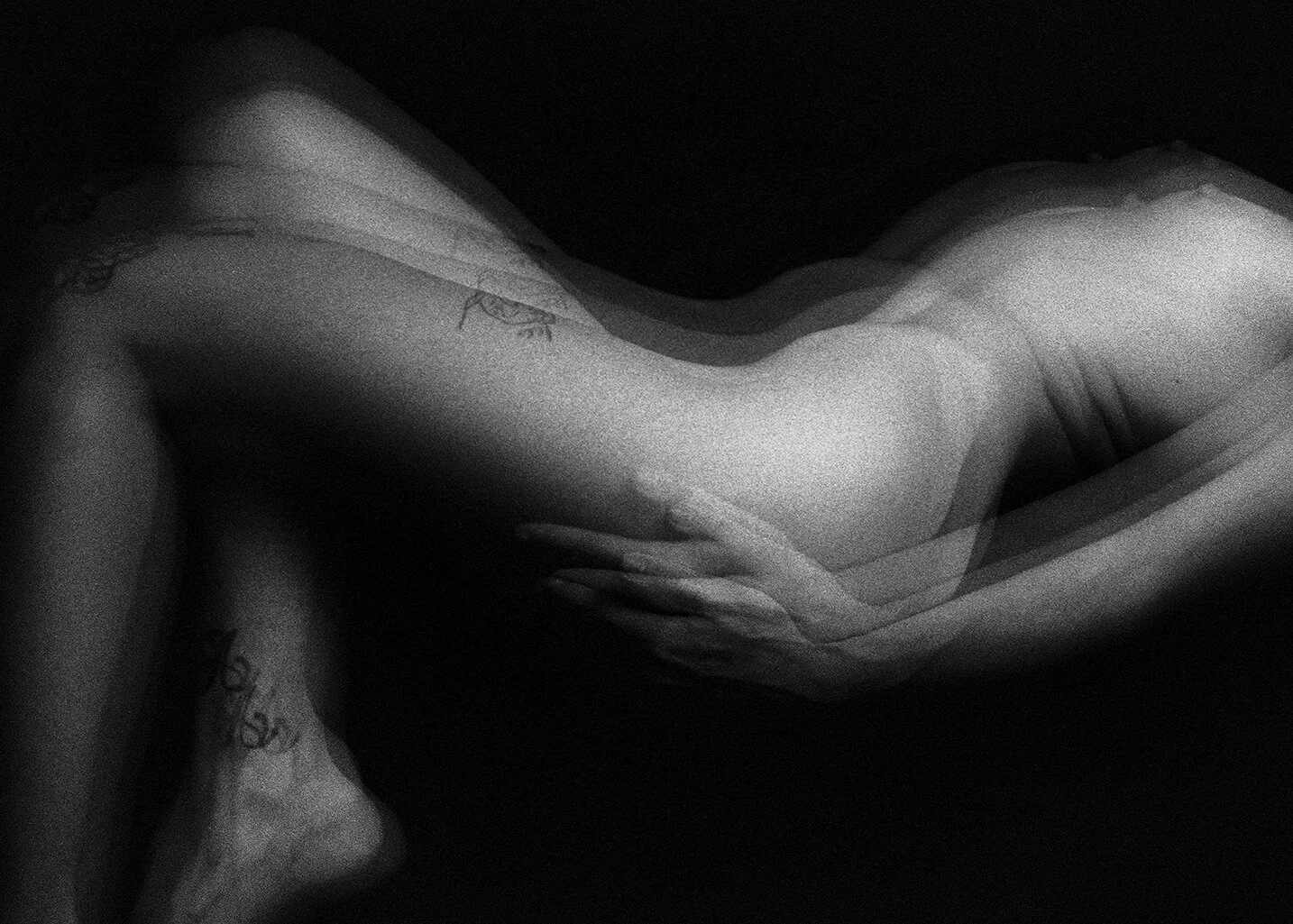 In Defence of Death: Why the prospect of immortality might not be such a good idea