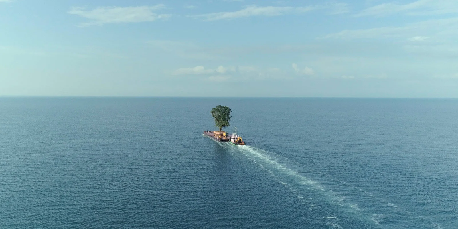 VIFF REVIEWS: MEMORIA &amp; TAMING THE GARDEN