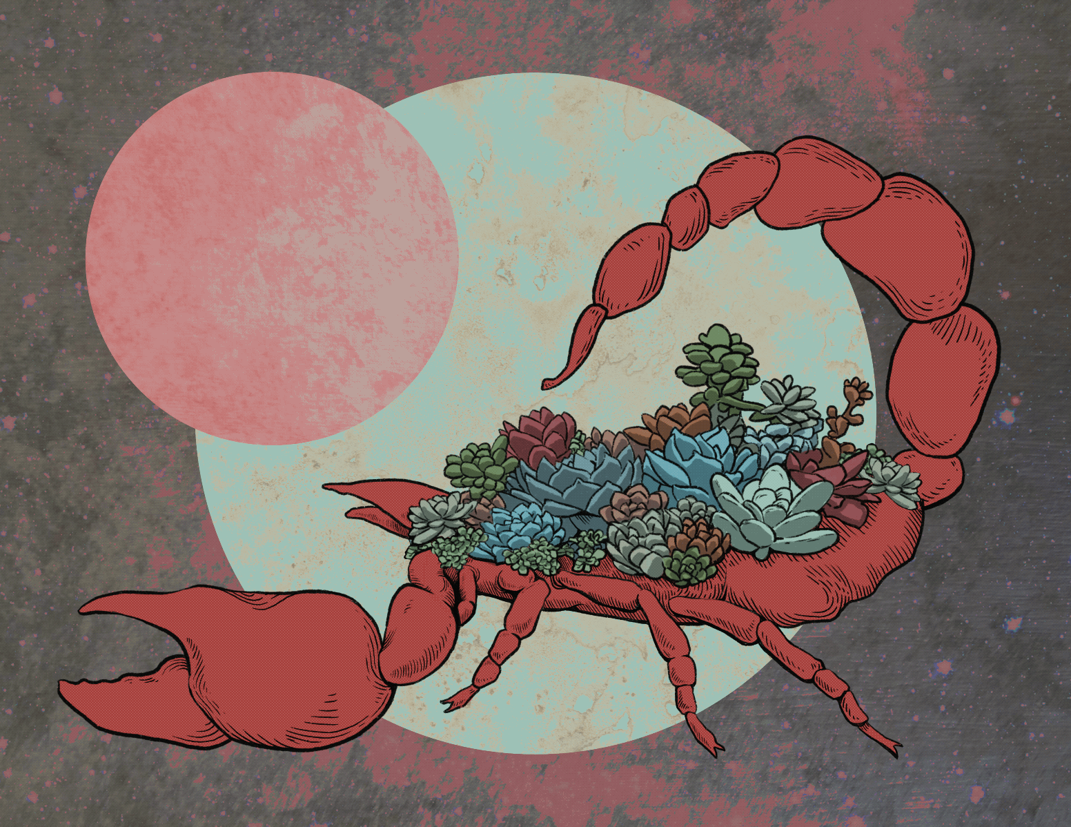 Cosmic Forecast November 2021