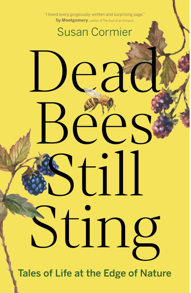 SAD Bookclub: Dead Bees Still Sting by Susan Cormier