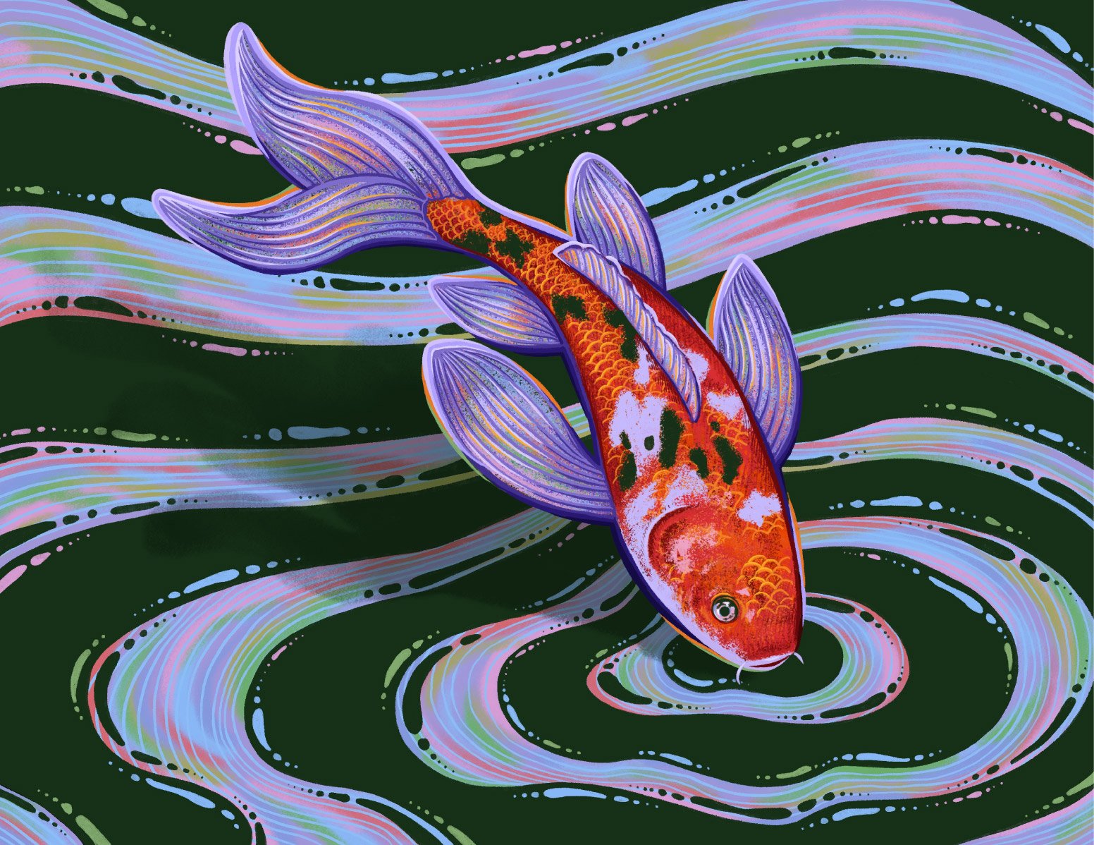 A vibrant koi fish with purple fins swims through pastel ripples of water against a black background.
