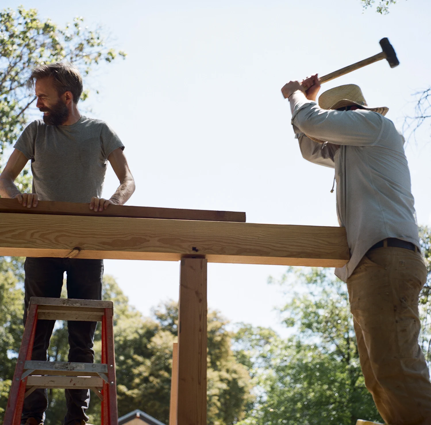 Barnraising_byTerriLoewenthal10.jpg