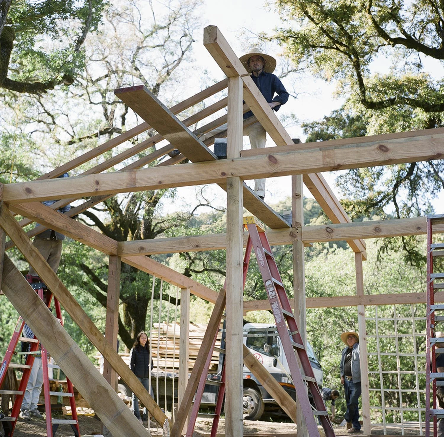 Barnraising_byTerriLoewenthal11.jpg