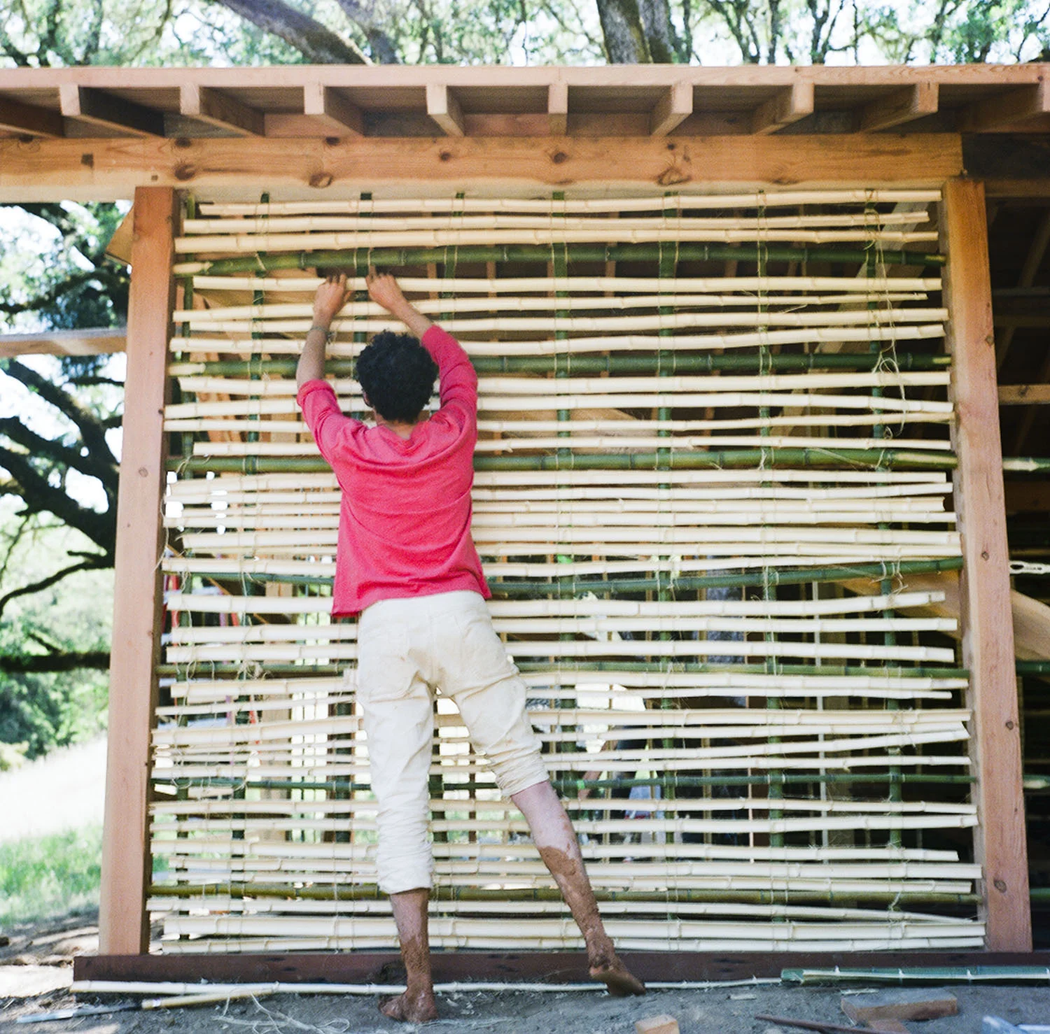 Barnraising_byTerriLoewenthal15.jpg