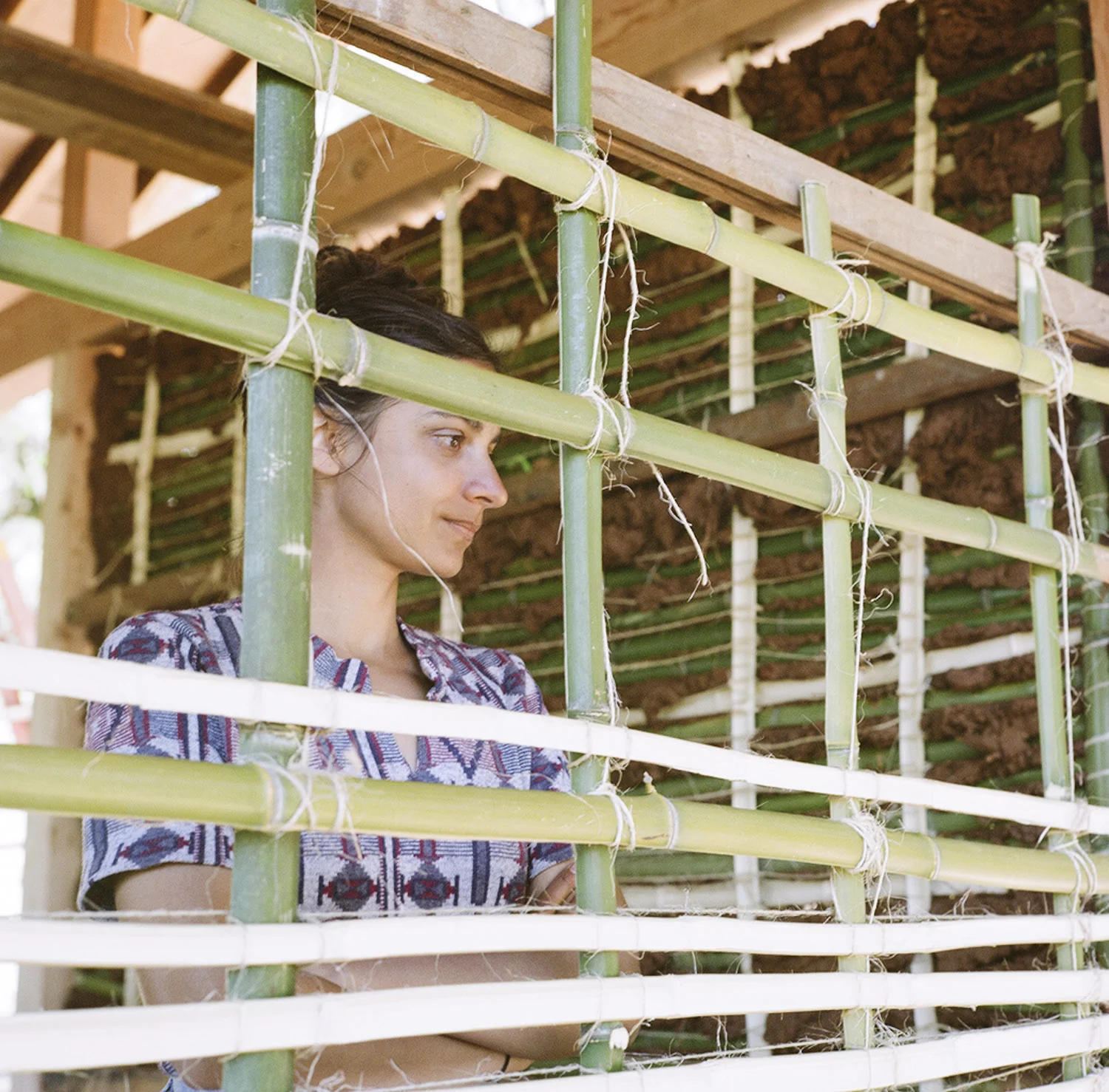 Barnraising_byTerriLoewenthal16.jpg