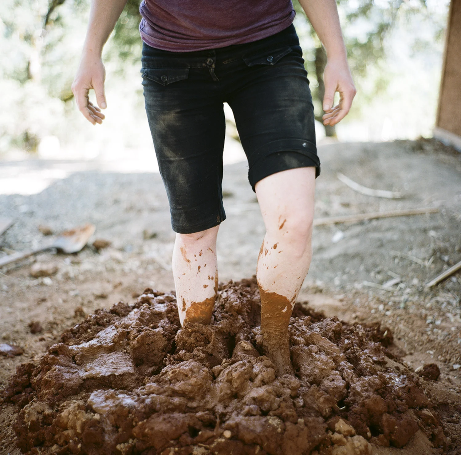Barnraising_byTerriLoewenthal17.jpg