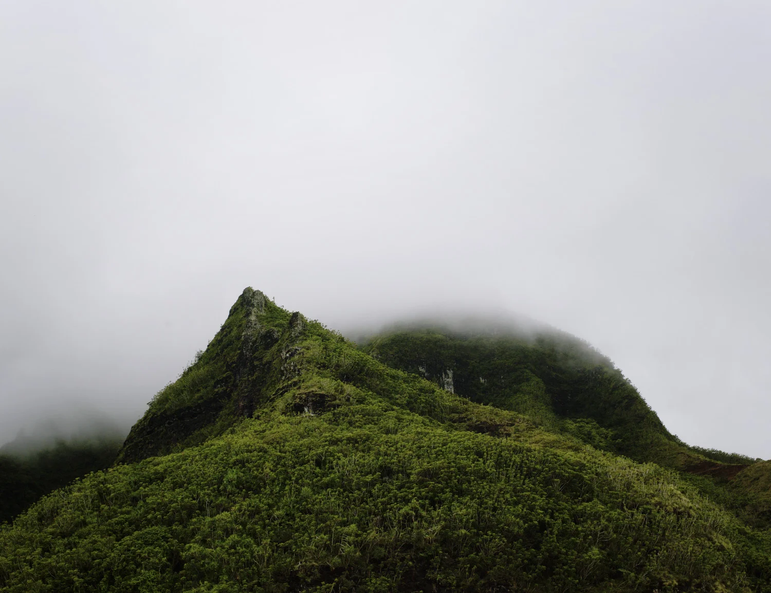 Peak, Hawaii, 2011, 40 x 30 in