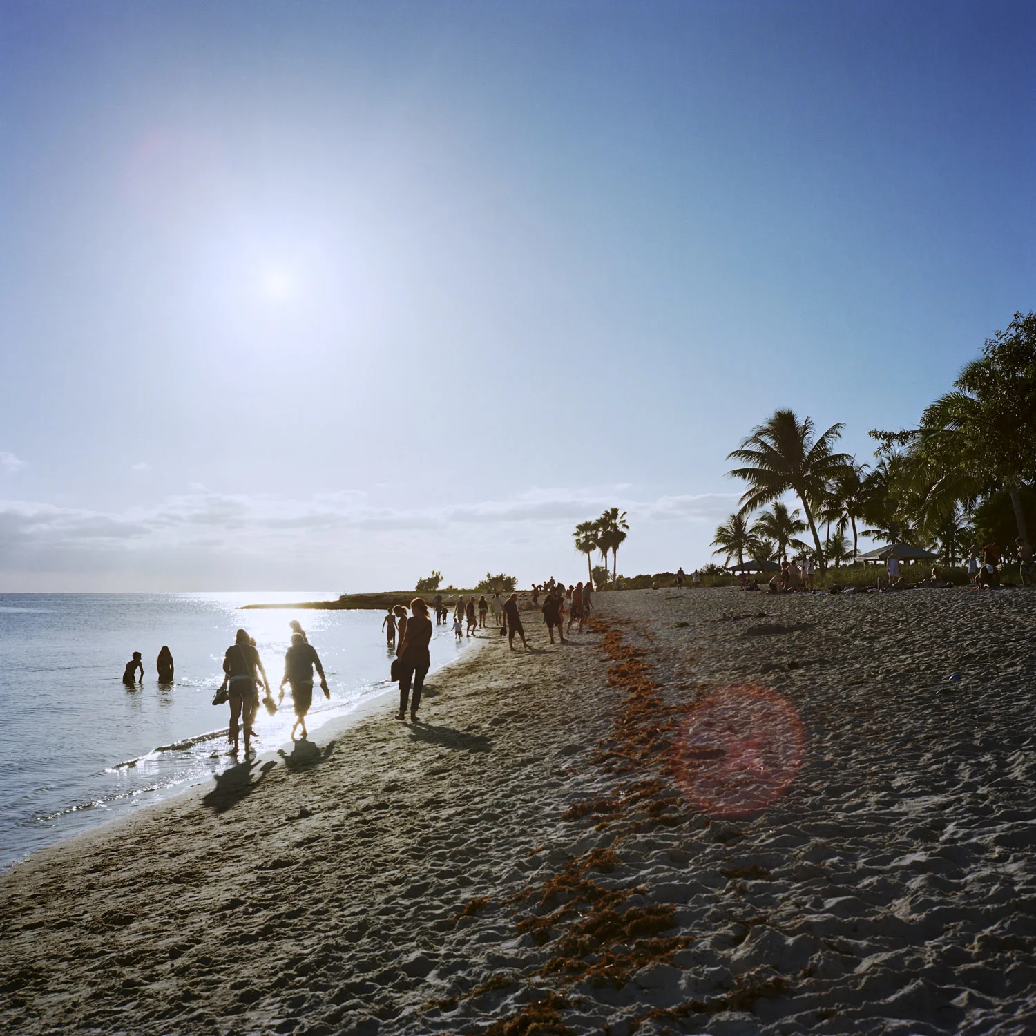 Untitled (Beach), Florida, 2011, 42 x 42 in