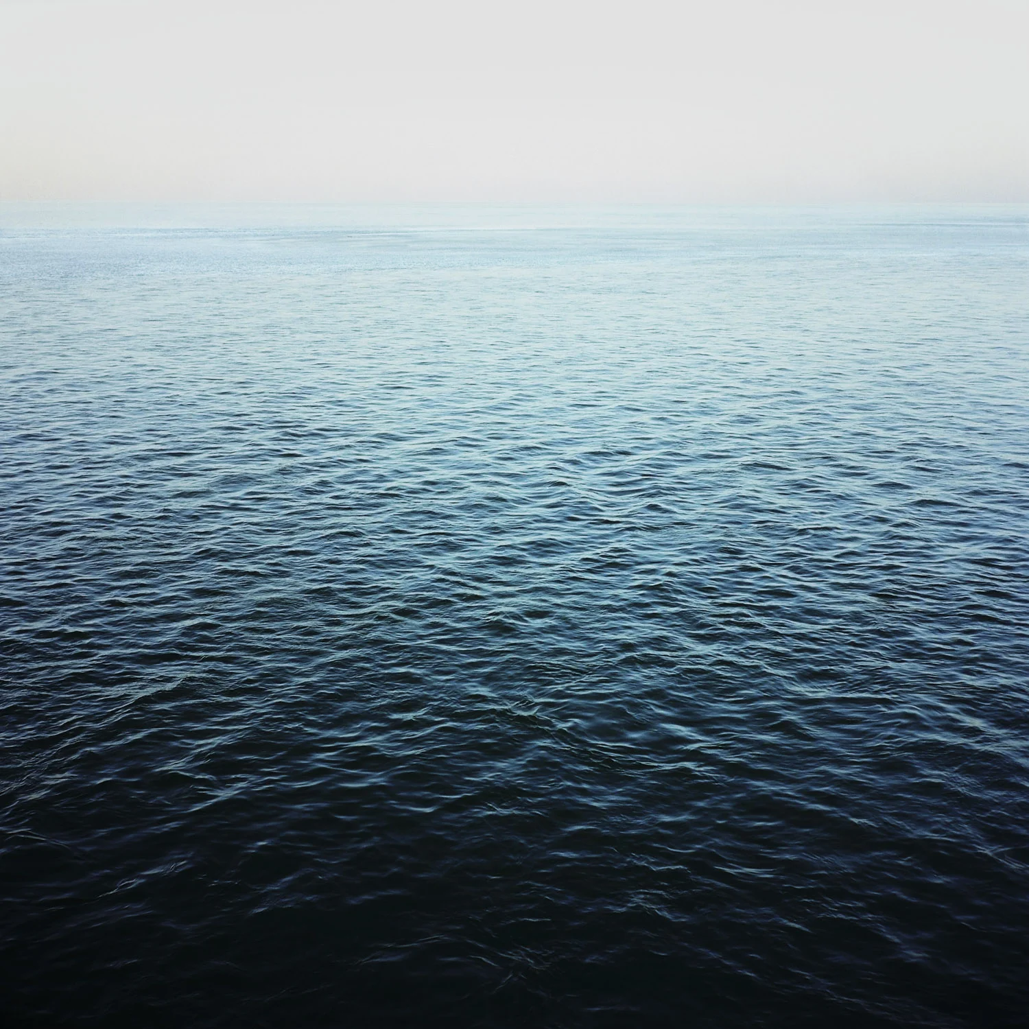 Untitled (Ocean), Florida, 2011, 42 x 42 in