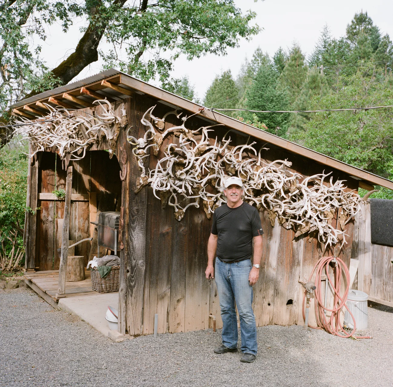 Mike Beebe