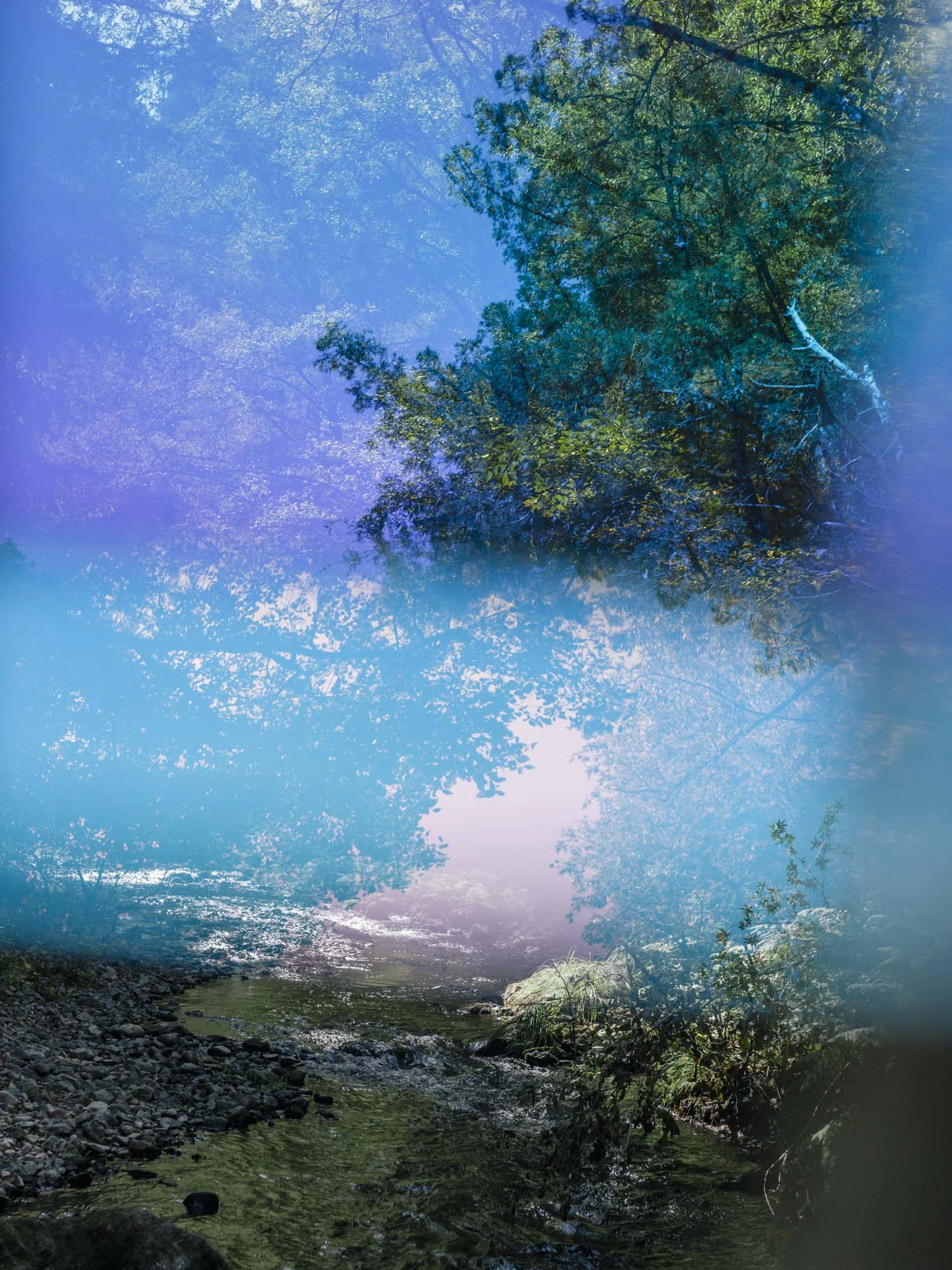 Psychscape 99 (Buck Creek, CA), 2017
