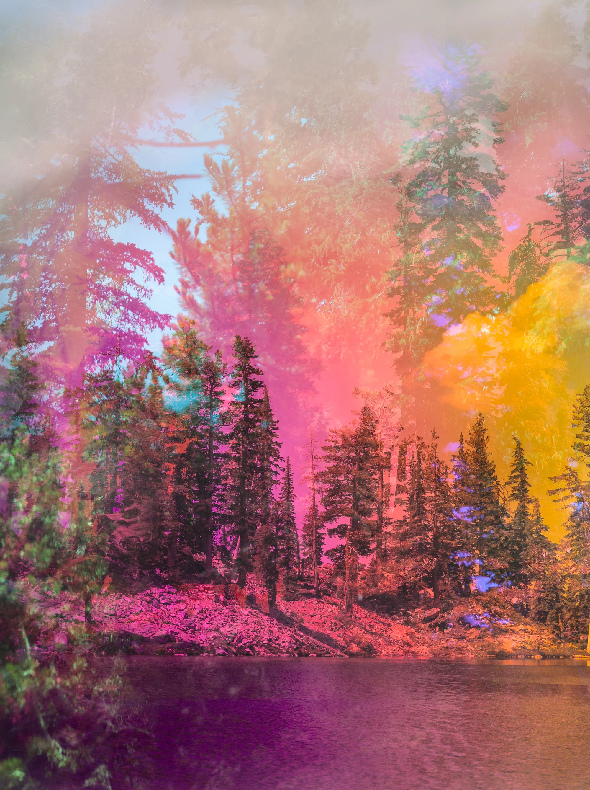 Psychscape 493 (Lassen, CA), 2017