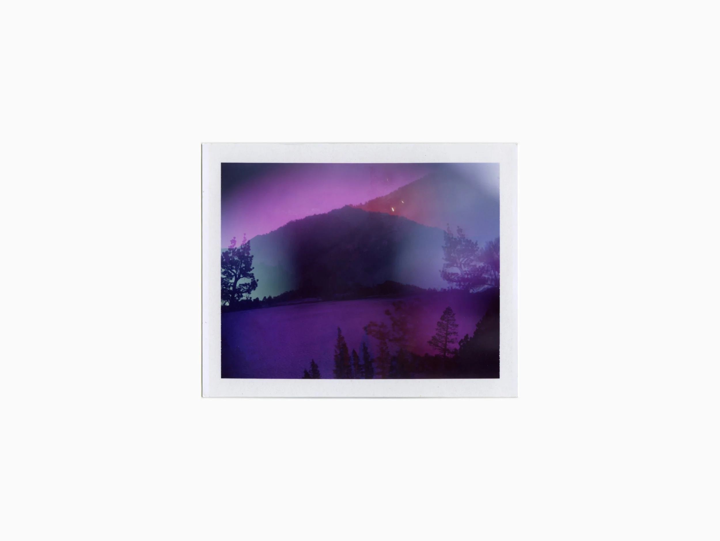 TerriLoewenthal_CreatureComfort04(EchoLake,CA)2019_landingPage.jpg