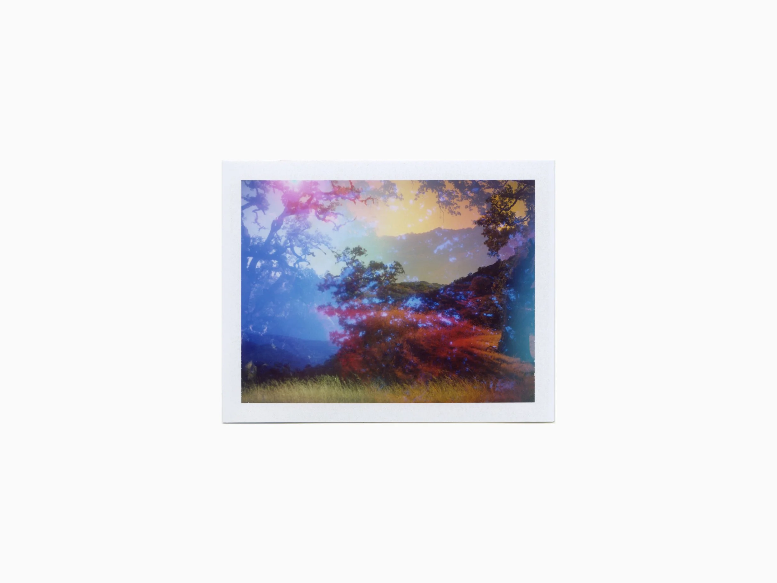 TerriLoewenthal_CreatureComfort08(CahtoPeak,CA)2020_landingPage.jpg