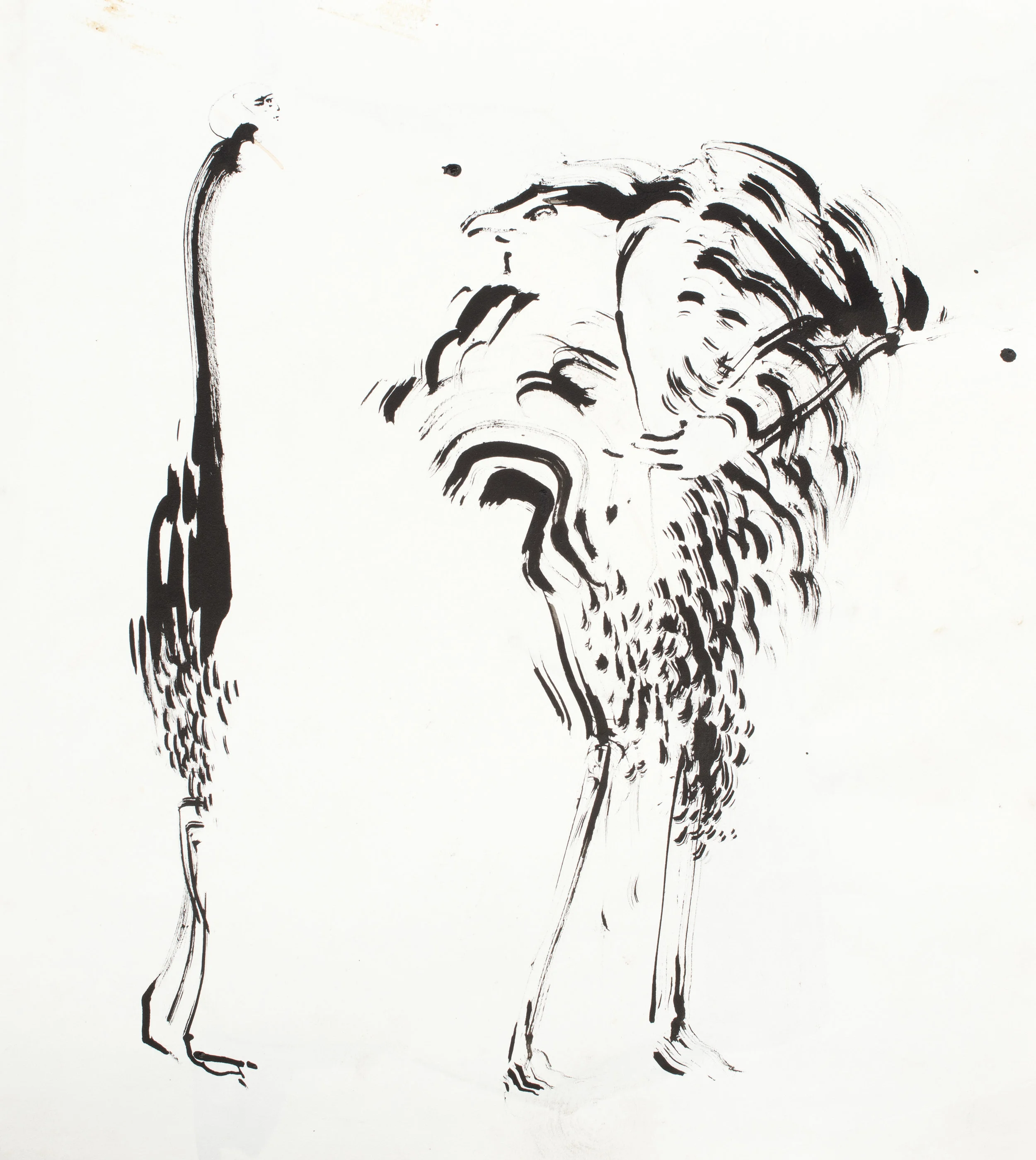 Stand Off , 2011 Ink on paper 18 x 15 inches