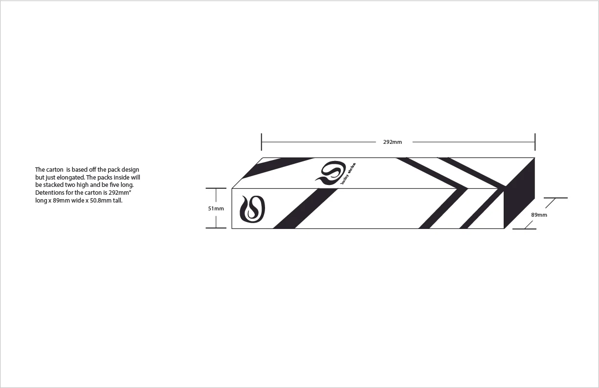 brandbook carton 2.jpg