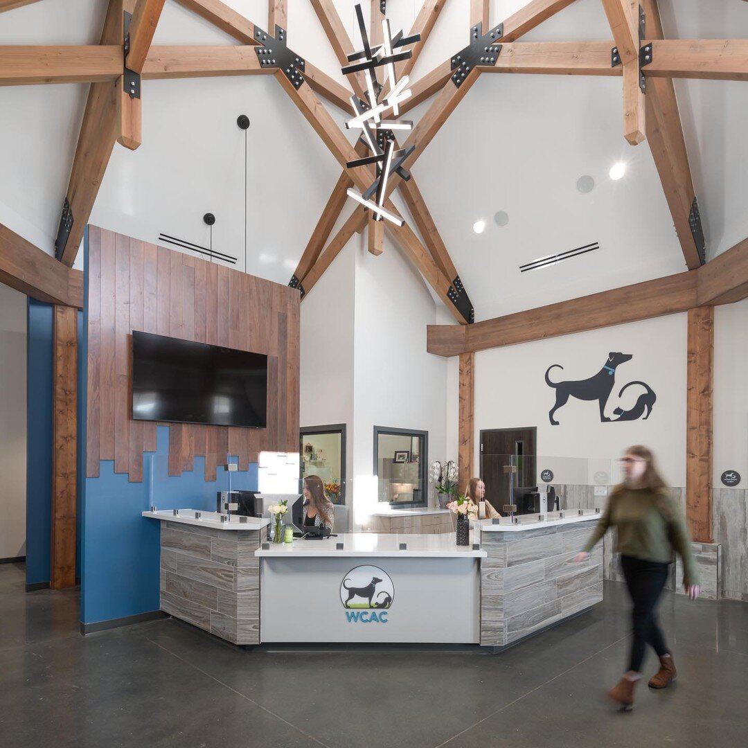 We are excited and honored to announce that our project, The Williamson County Animal Center was awarded best Public Facility project 2022 by @iidatn . Thank you to the IIDA and all that contributed to the creation of the facility!
.
.
.
 #interiorde