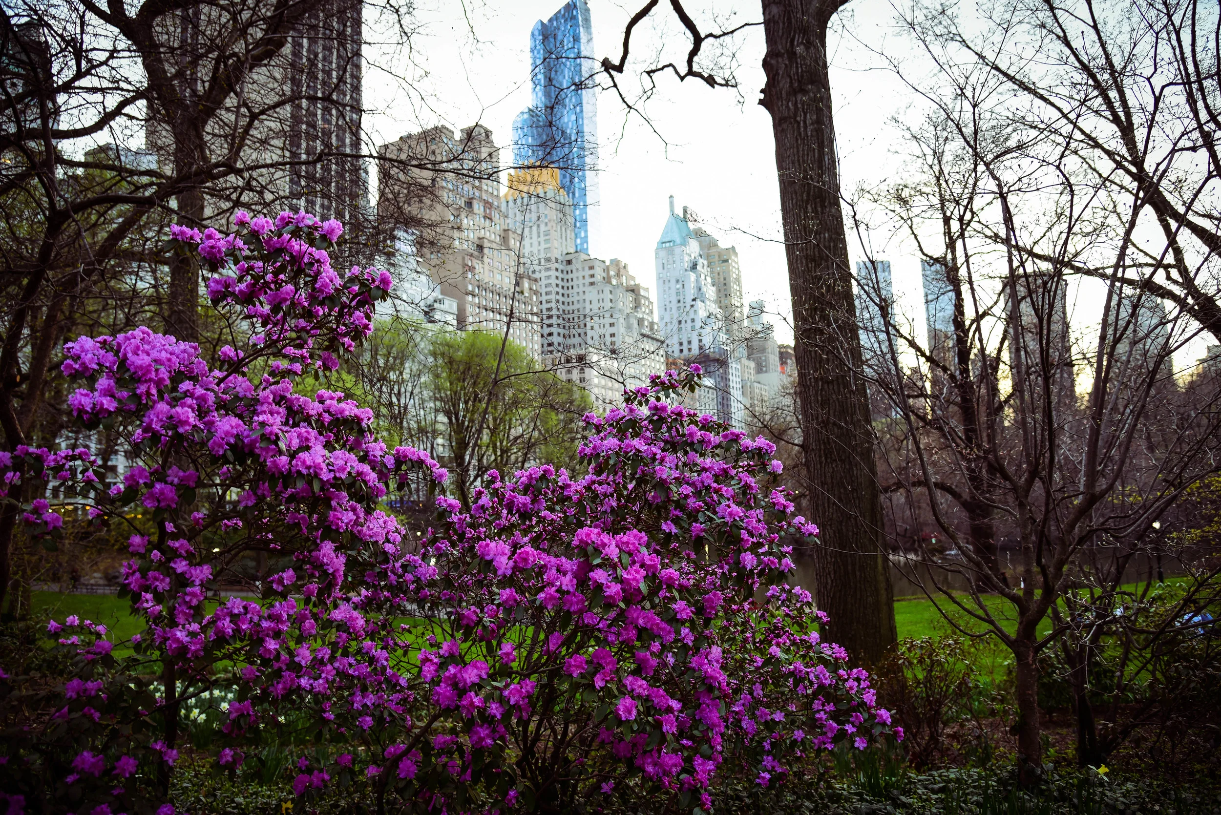 DSC_4025.jpg