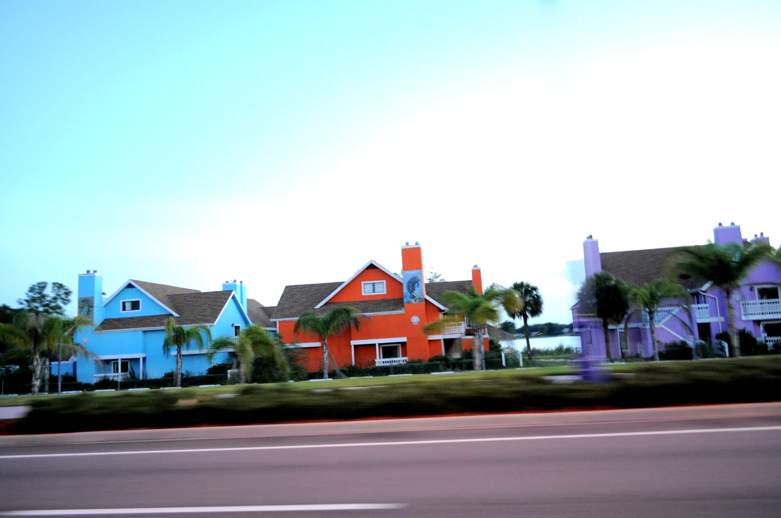 FLORIDA 1 244.jpg