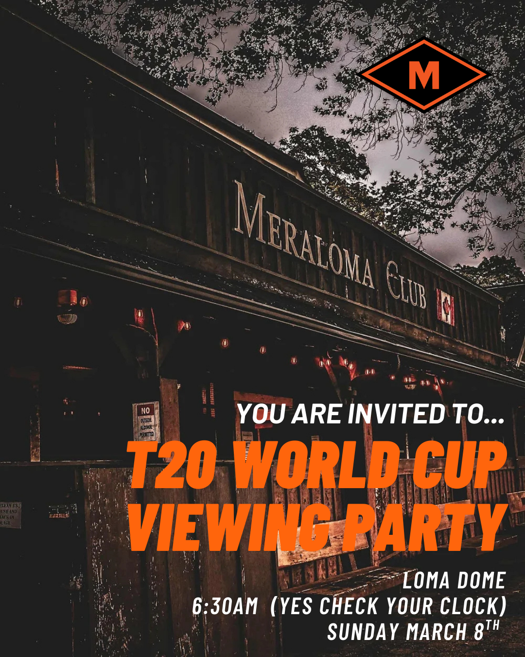 T20 World Cup Final Viewing Party at the Dome