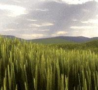 ezgif-2447029020.gif