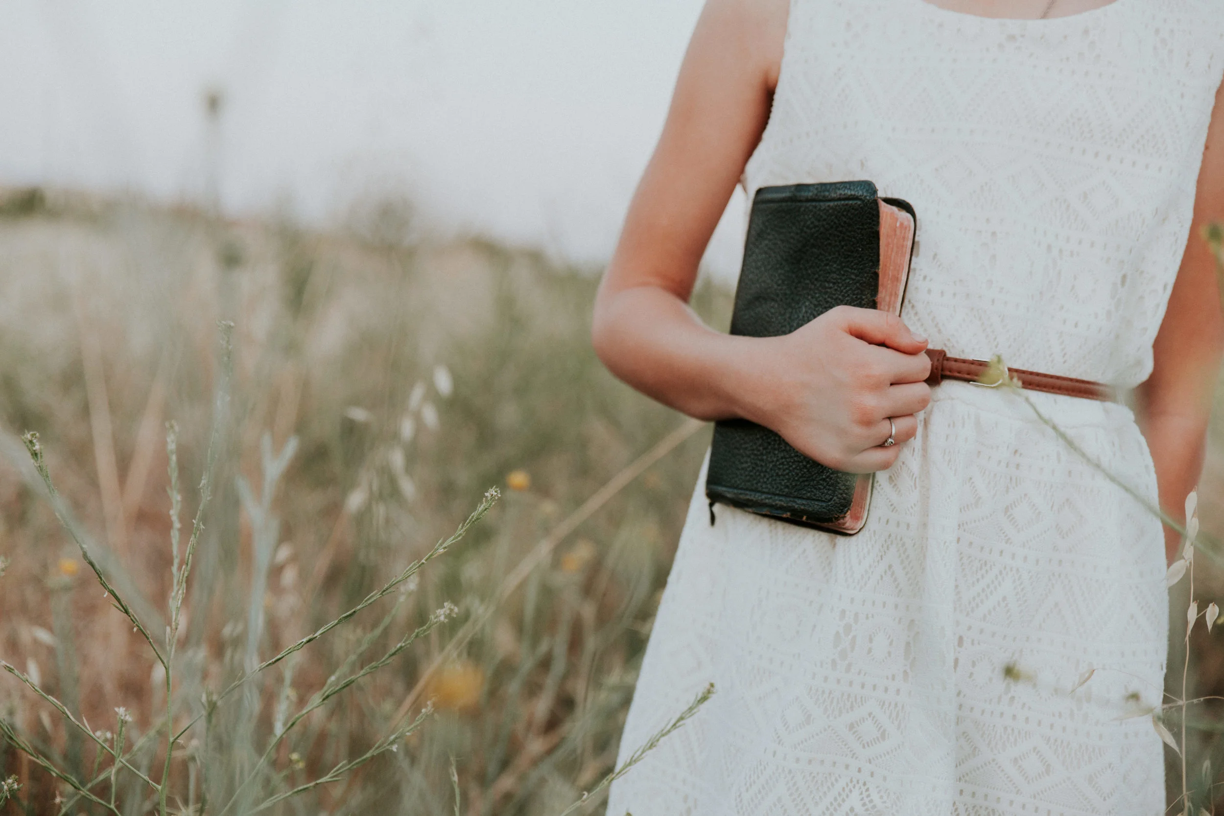 The Inerrancy  of Scripture