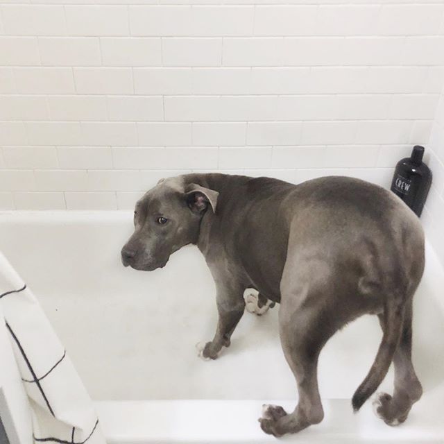 no, no dad i read it online. only one half needs to be in the tub.