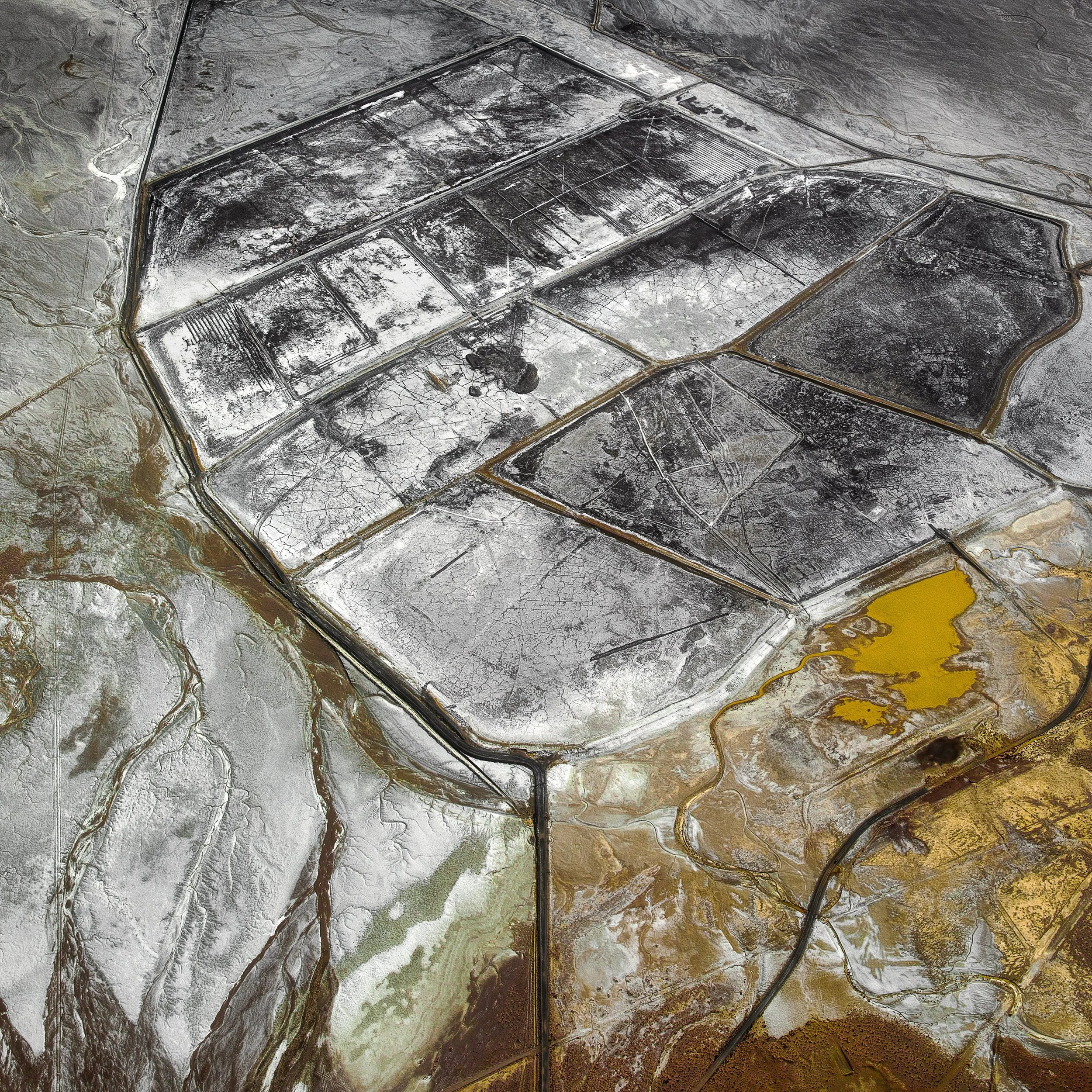 Apocalypto - Paul Hoelen.JPG