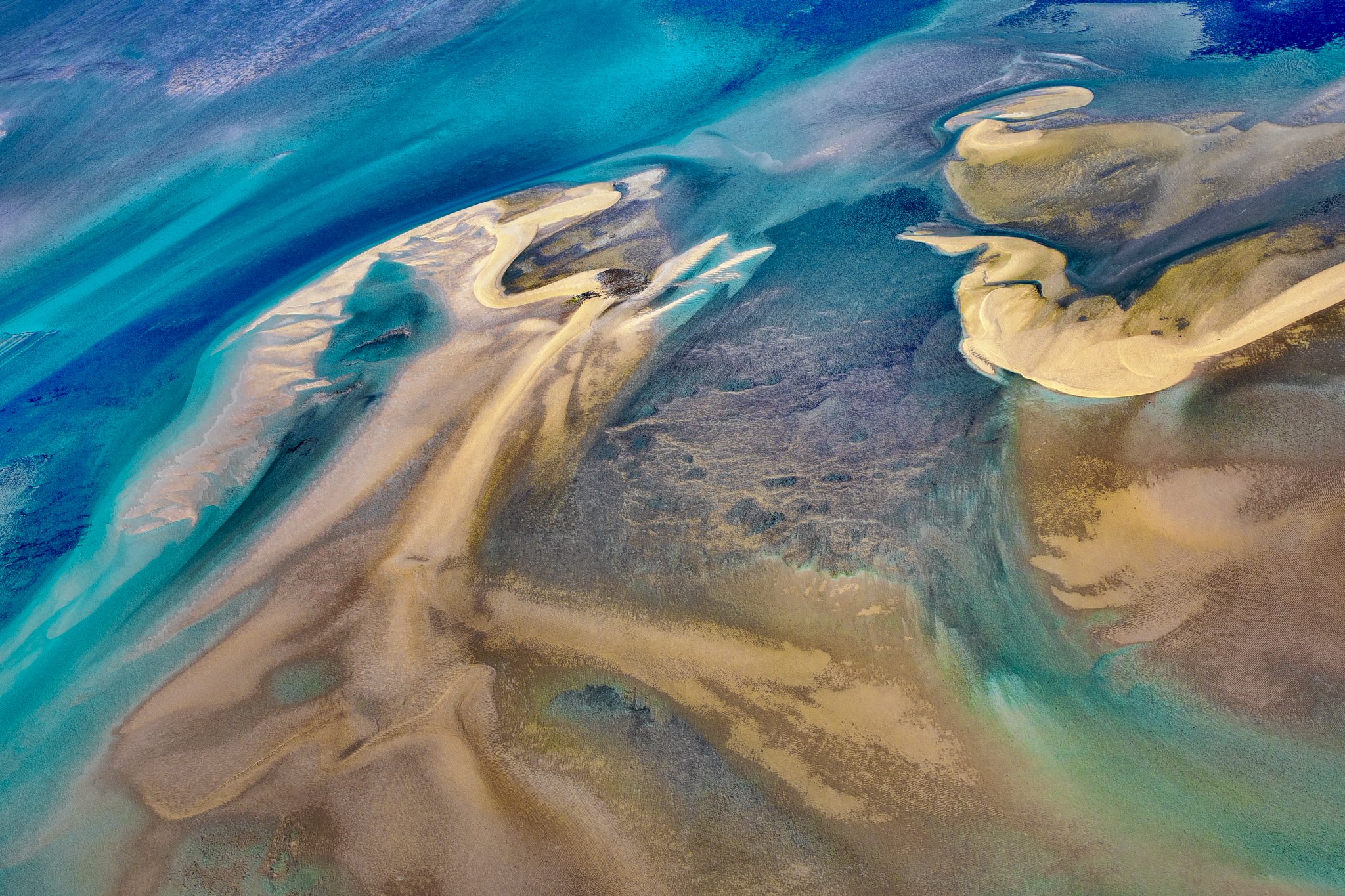 Hoelen_P_09A9362-Edit 2.JPG