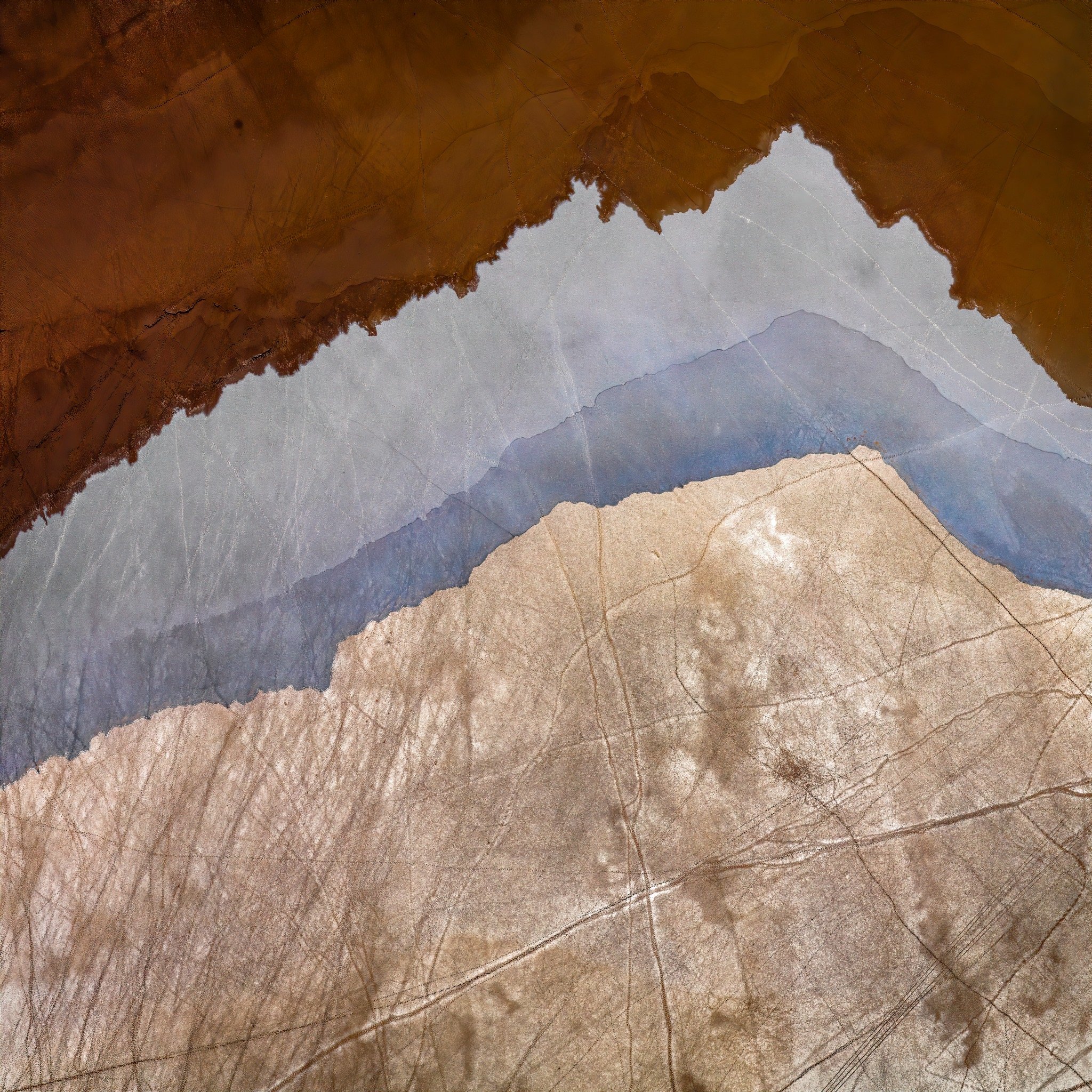 Parchment - Paul Hoelen.JPG