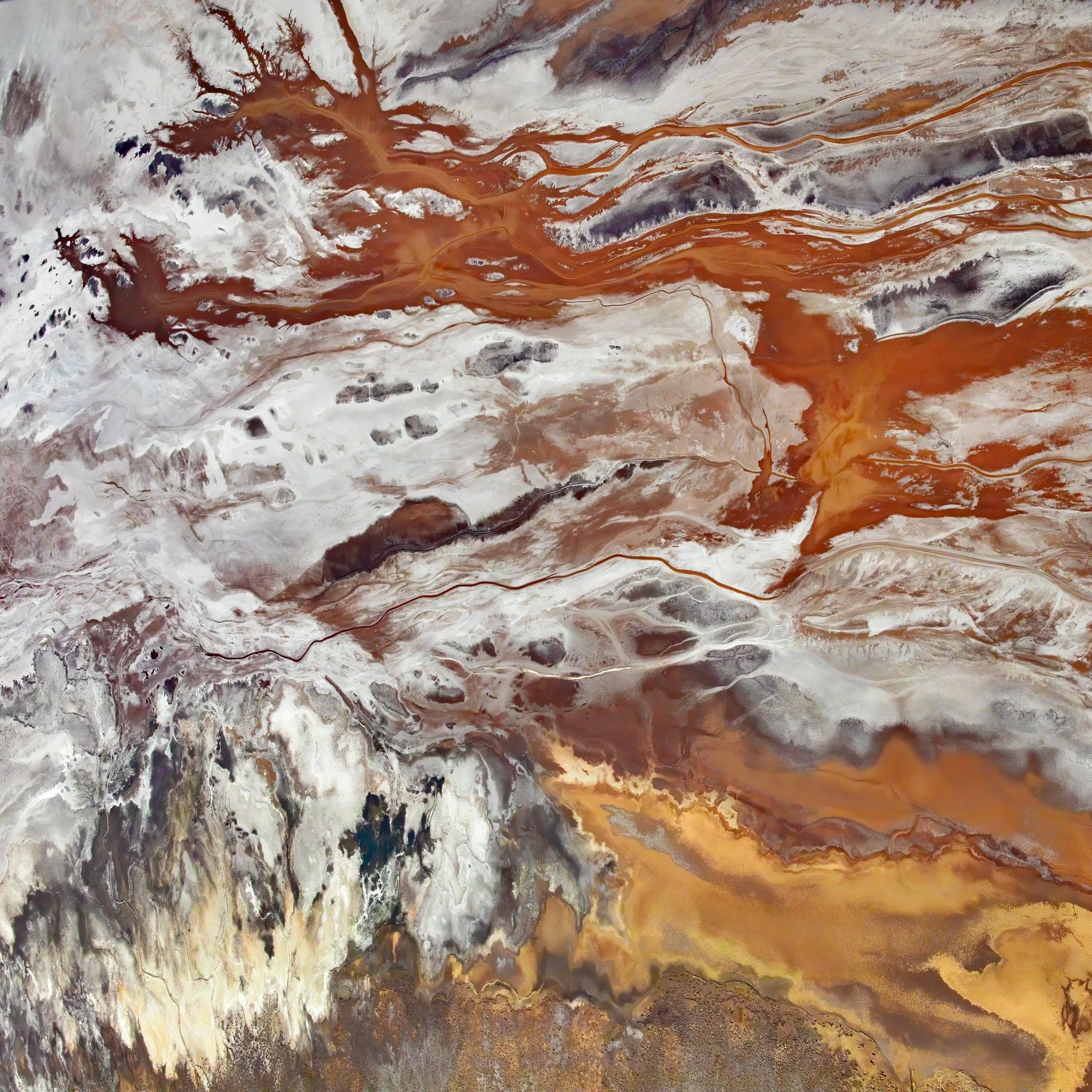 Dragon Breath - Paul Hoelen.JPG