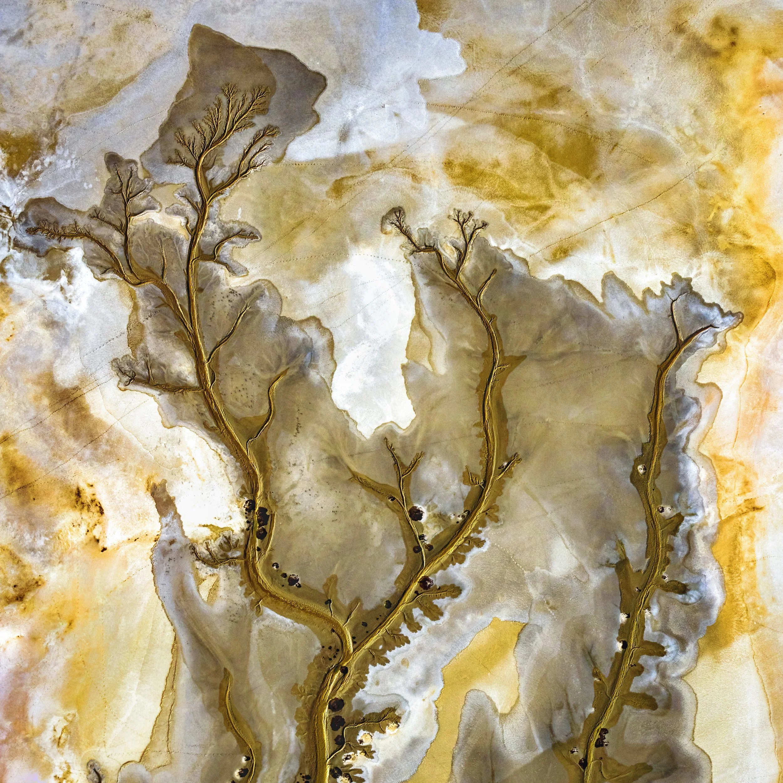 Gold Leaf - Paul Hoelen.JPG